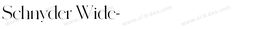 Schnyder Wide字体转换